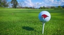 golf ball with red hawk logo sitting on tee